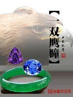一双鹰瞳 中校孤鹰