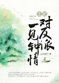 王妃对反派一见钟情