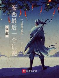 大唐安西最后一个信使小说