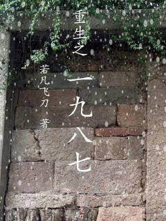重生之1987