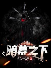 暗幕之下