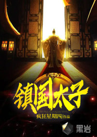 镇国太子TXT下载