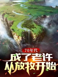 70年代:成了老许