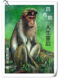 四合院：人生重启