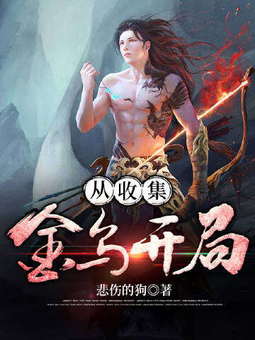 从收集金乌开局