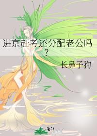 进京赶考还分配老公吗?