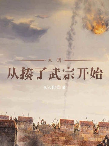 大明从揍了武宗开始