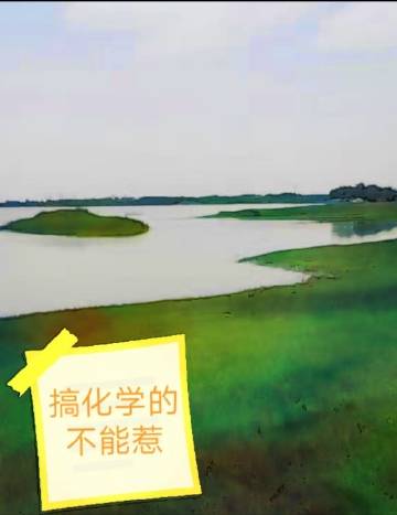 搞化学的不能惹
