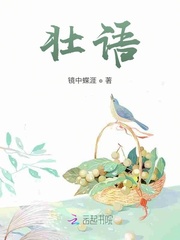 壮语是修饰什么的