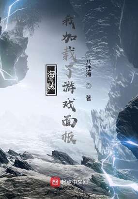 海贼：我加载了游戏面板
