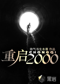 重启2000之青云直上1