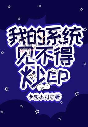我的系统见不得炒CP