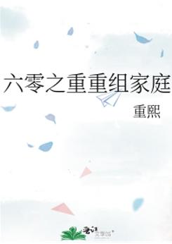 六零之重重组家庭