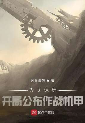 为了保研：开局公布作战机甲