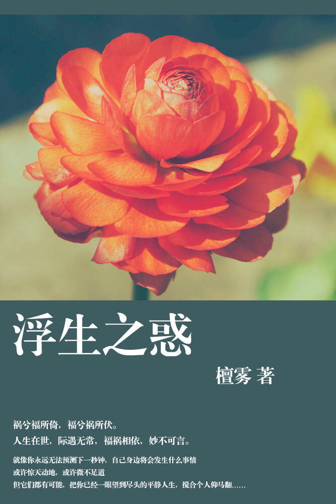 浮生之惑
