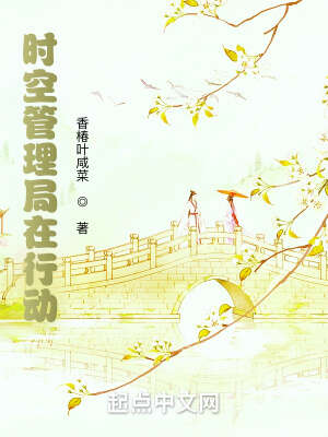 时空管理局在行动